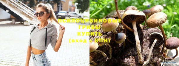 молекула духа Карталы