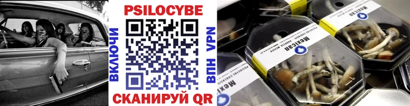 Купить закладки  Новоалександровск  Галлюциногенные грибы мухоморы 